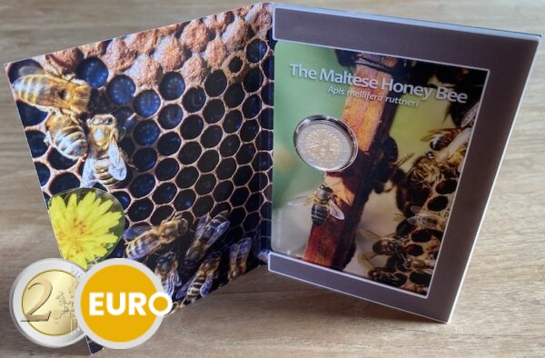 2 euro Malta 2024 - Maltese Honingbij BU FDC Coincard