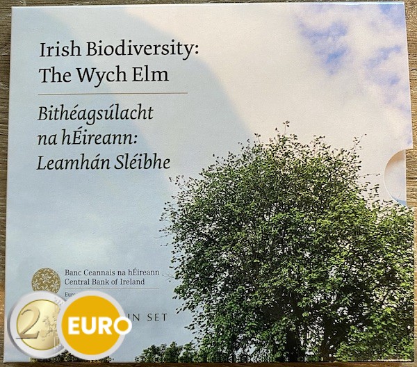 Série euro BU FDC Irlande 2025 L'orme magique